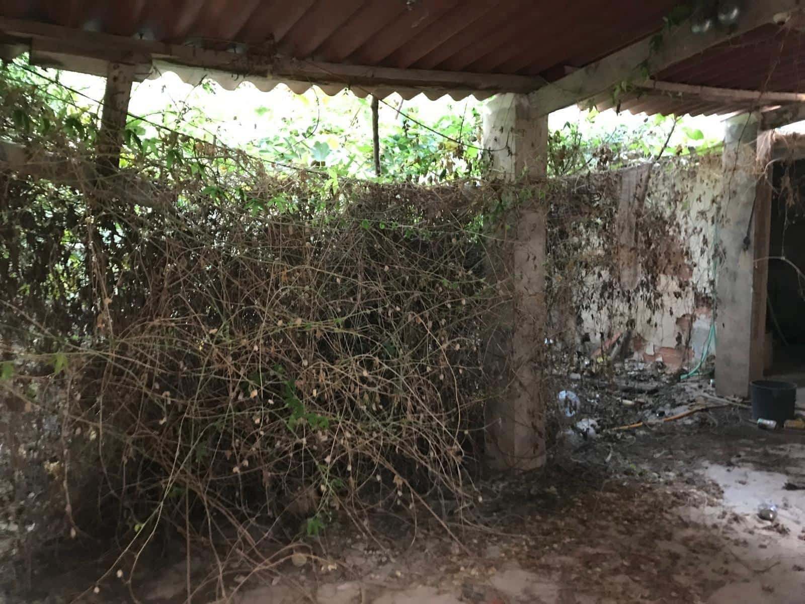 3 slaapkamer Huis te koop in Benejuzar - € 95.000 (Ref: 9813441)
