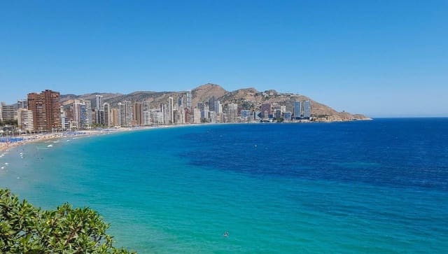 Kommersiell till salu i Benidorm - 287 500 € (Ref: 9818154)