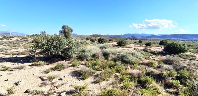 Undeveloped Land for sale in Las Virtudes, Villena - € 46,000 (Ref: 9843349)