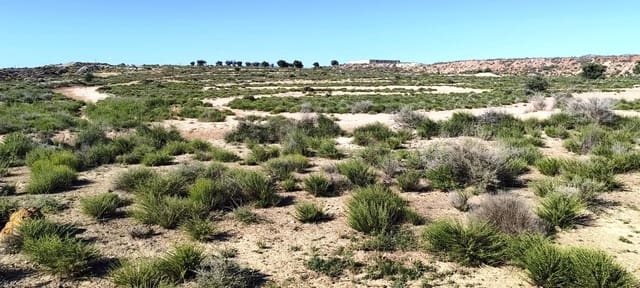 Grunde uden byggetilladelser til salg i Las Virtudes, Villena - € 66.000 (Ref: 9843350)