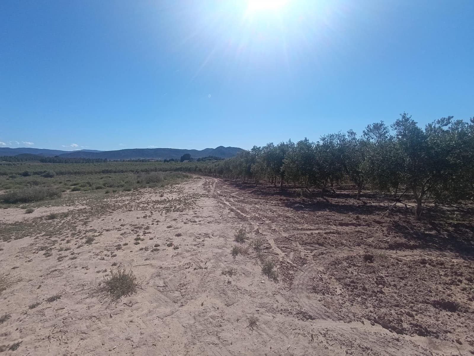 Undeveloped Land for sale in Las Virtudes - € 66,000 (Ref: 9843350)