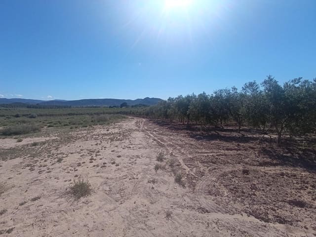 Grunde uden byggetilladelser til salg i Las Virtudes, Villena - € 66.000 (Ref: 9843350)