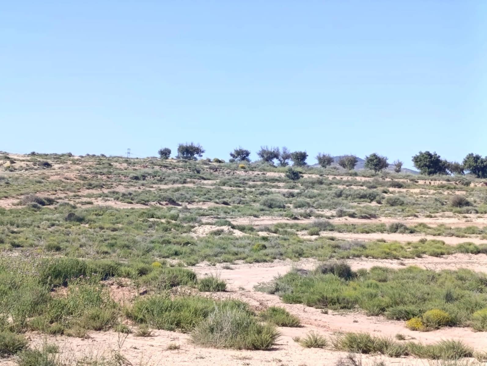 Undeveloped Land for sale in Las Virtudes - € 66,000 (Ref: 9843350)