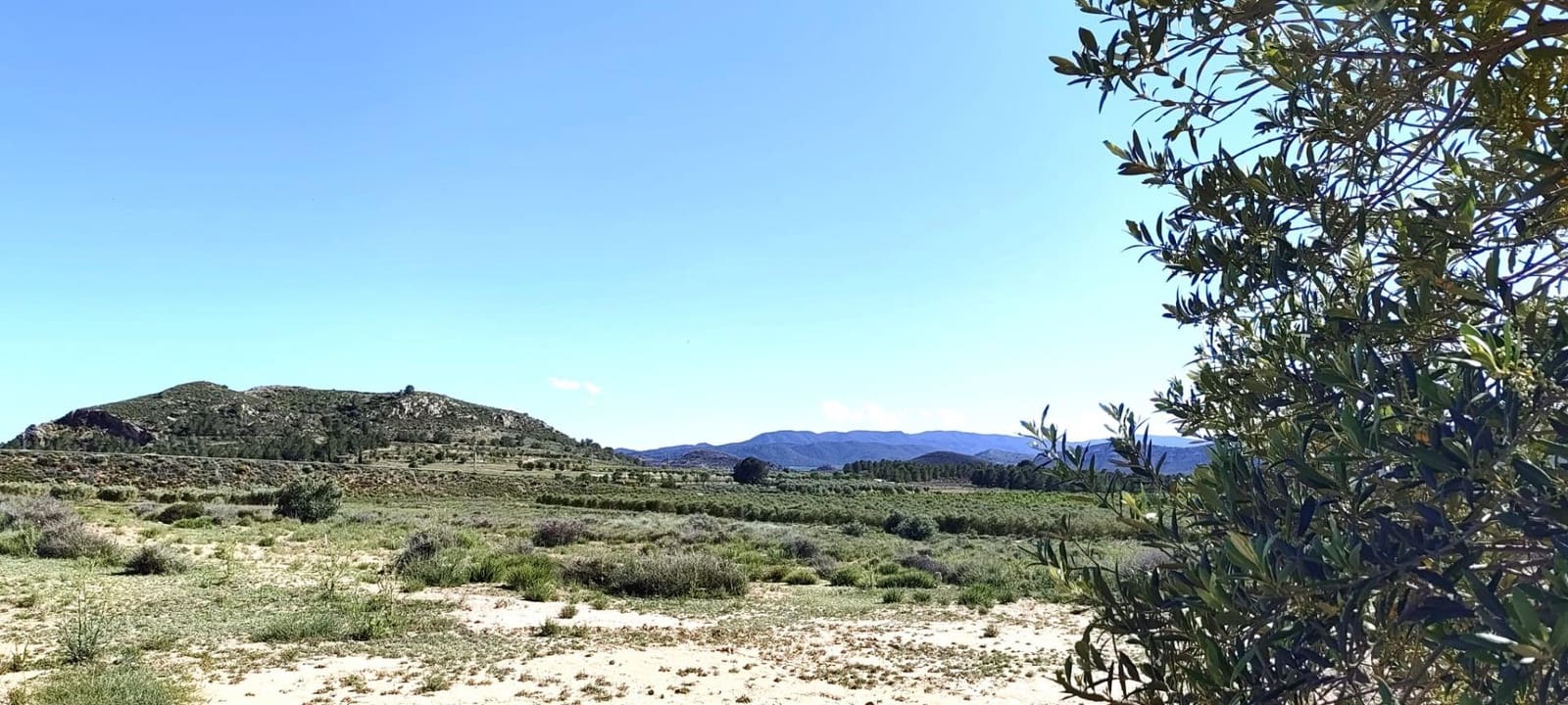 Terre non Aménagée à vendre à Las Virtudes - 31 900 € (Ref: 9843351)