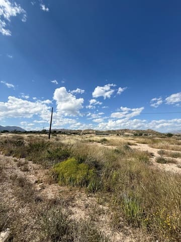 Solar/Parcela en San Vicente / Sant Vicent del Raspeig en venta - 439.000 € (Ref: 9846183)