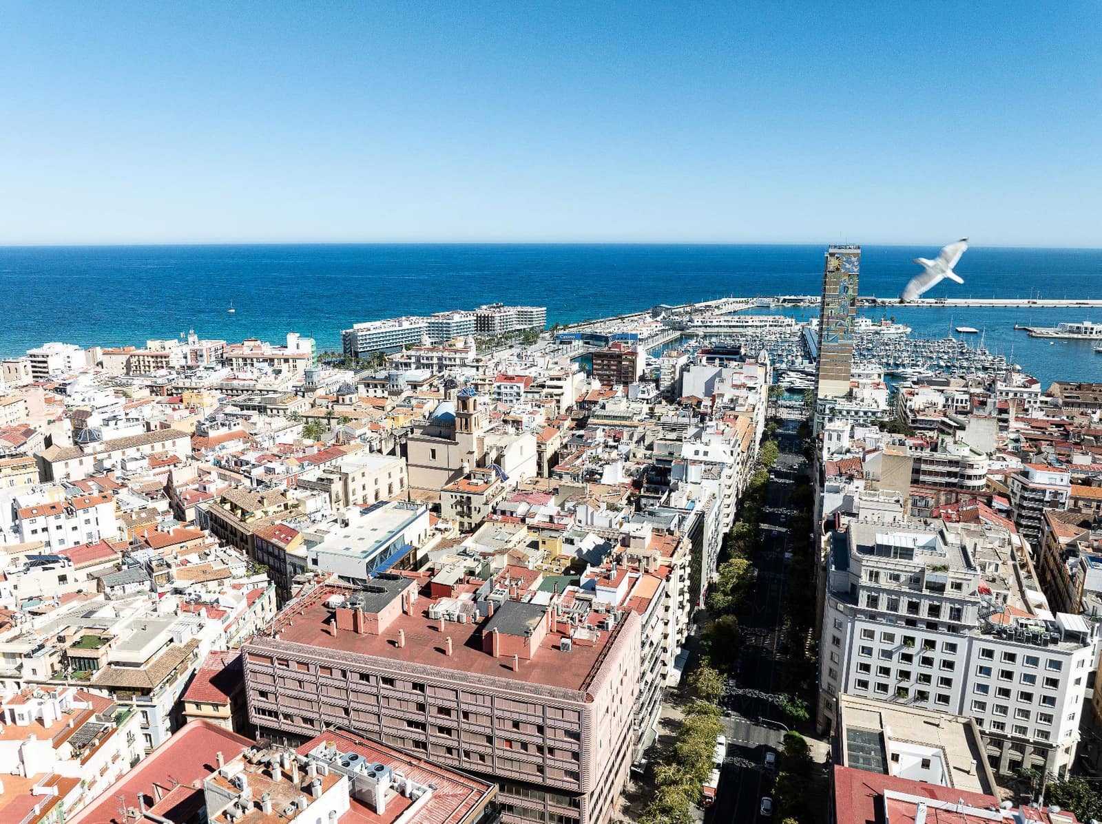 3 soverom Leilighet til salgs i Alicante by - € 599 995 (Ref: 9868544)
