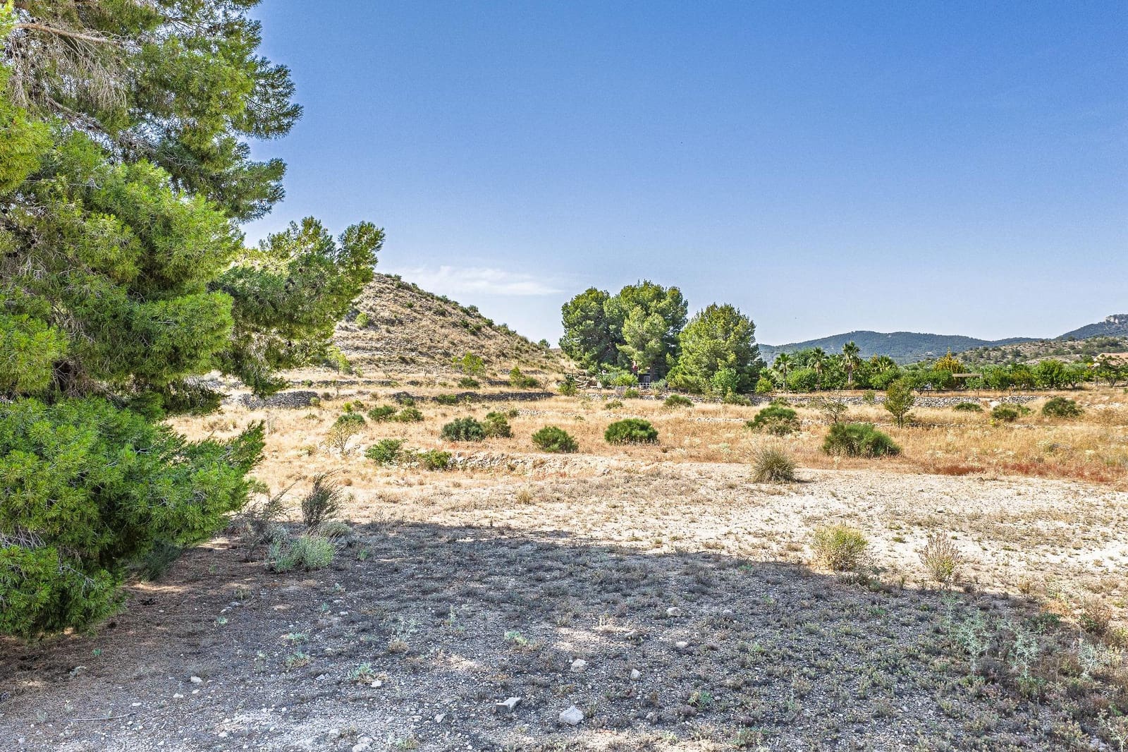 Grond te koop in Monovar / Monover - € 35.000 (Ref: 9873444)
