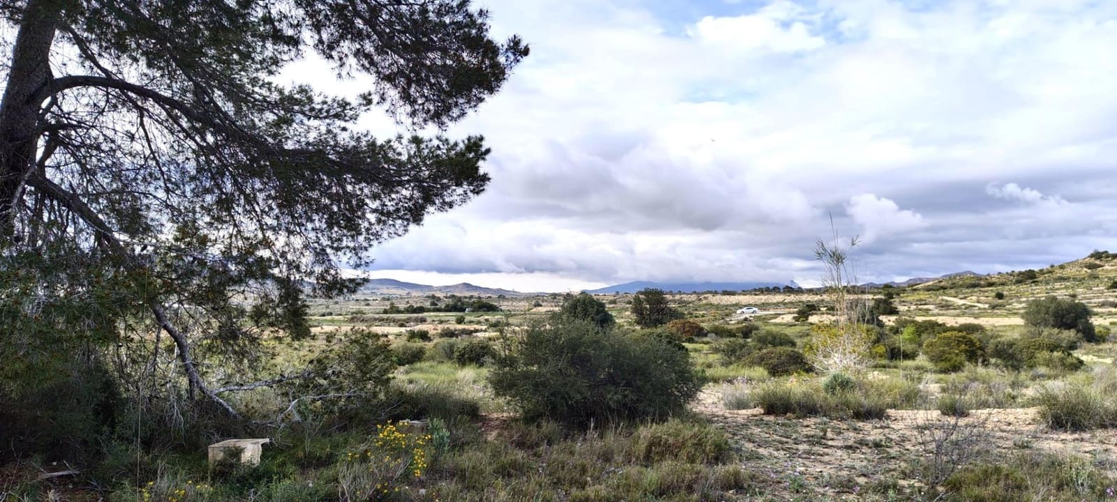 Terre non Aménagée à vendre à Elche / Elx - 14 900 € (Ref: 9907514)