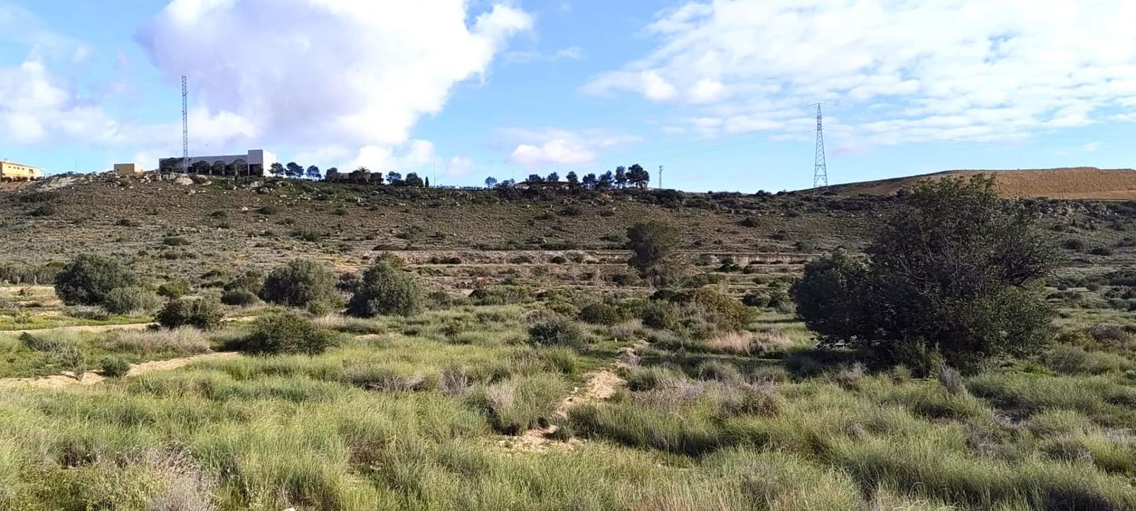 Terre non Aménagée à vendre à Elche / Elx - 14 900 € (Ref: 9907514)