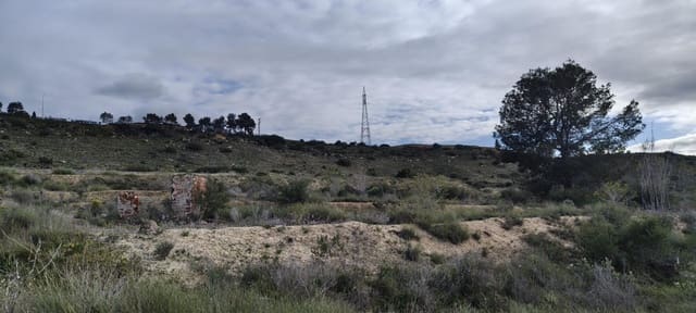 Terre non Aménagée à vendre à Elche / Elx - 14 900 € (Ref: 9907514)