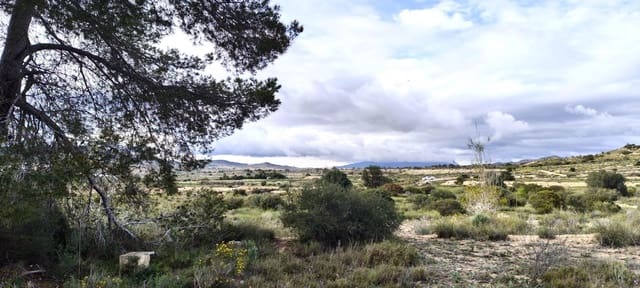 Terre non Aménagée à vendre à Elche / Elx - 14 900 € (Ref: 9907514)