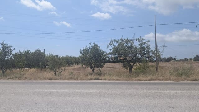 Terreno/Finca Rústica en Perleta, Elche / Elx en venta - 202.000 € (Ref: 9927356)