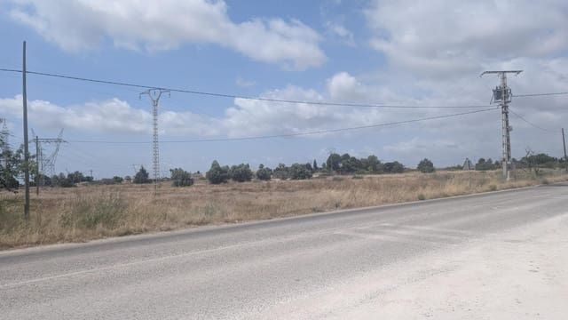 Terreno/Finca Rústica en Perleta, Elche / Elx en venta - 202.000 € (Ref: 9927356)
