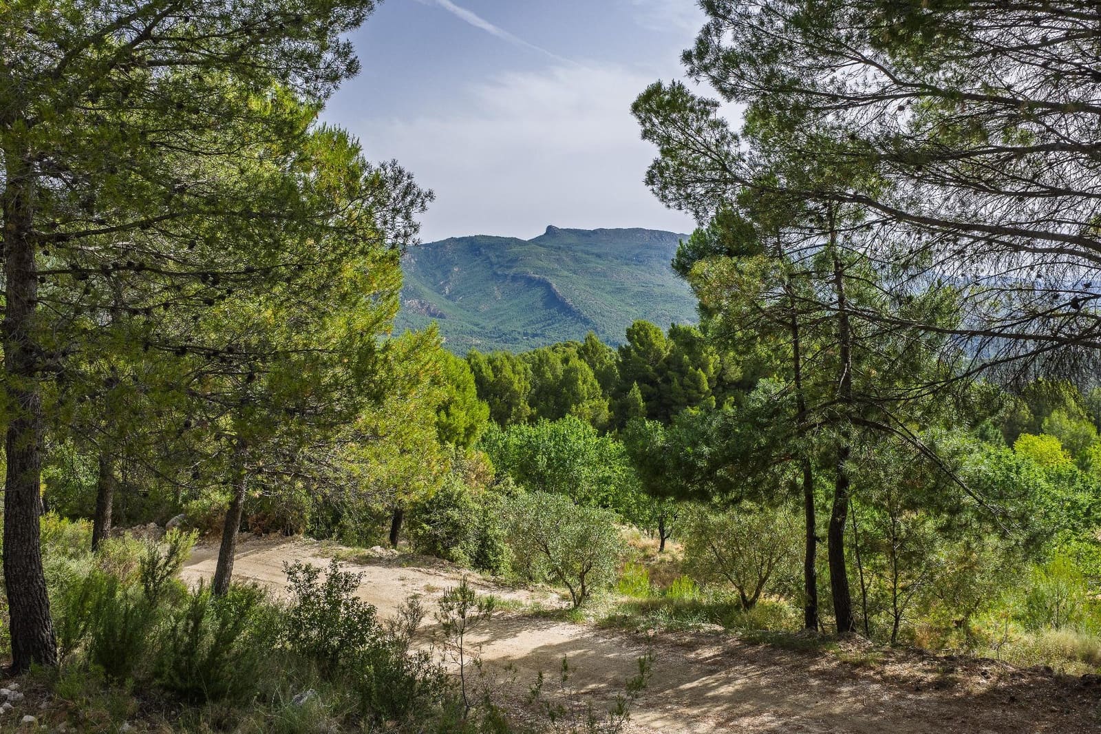 4 bedroom Finca/Country House for sale in Moratalla with pool - € 349,000 (Ref: 9929339)