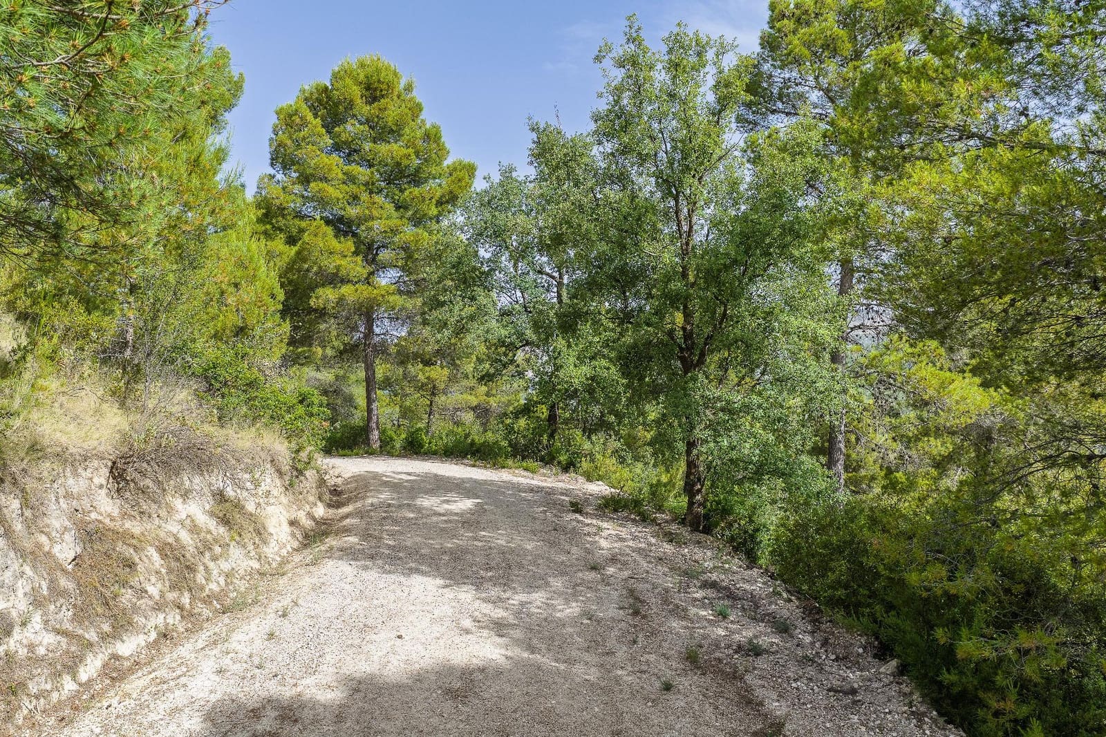 4 bedroom Finca/Country House for sale in Moratalla with pool - € 349,000 (Ref: 9929339)