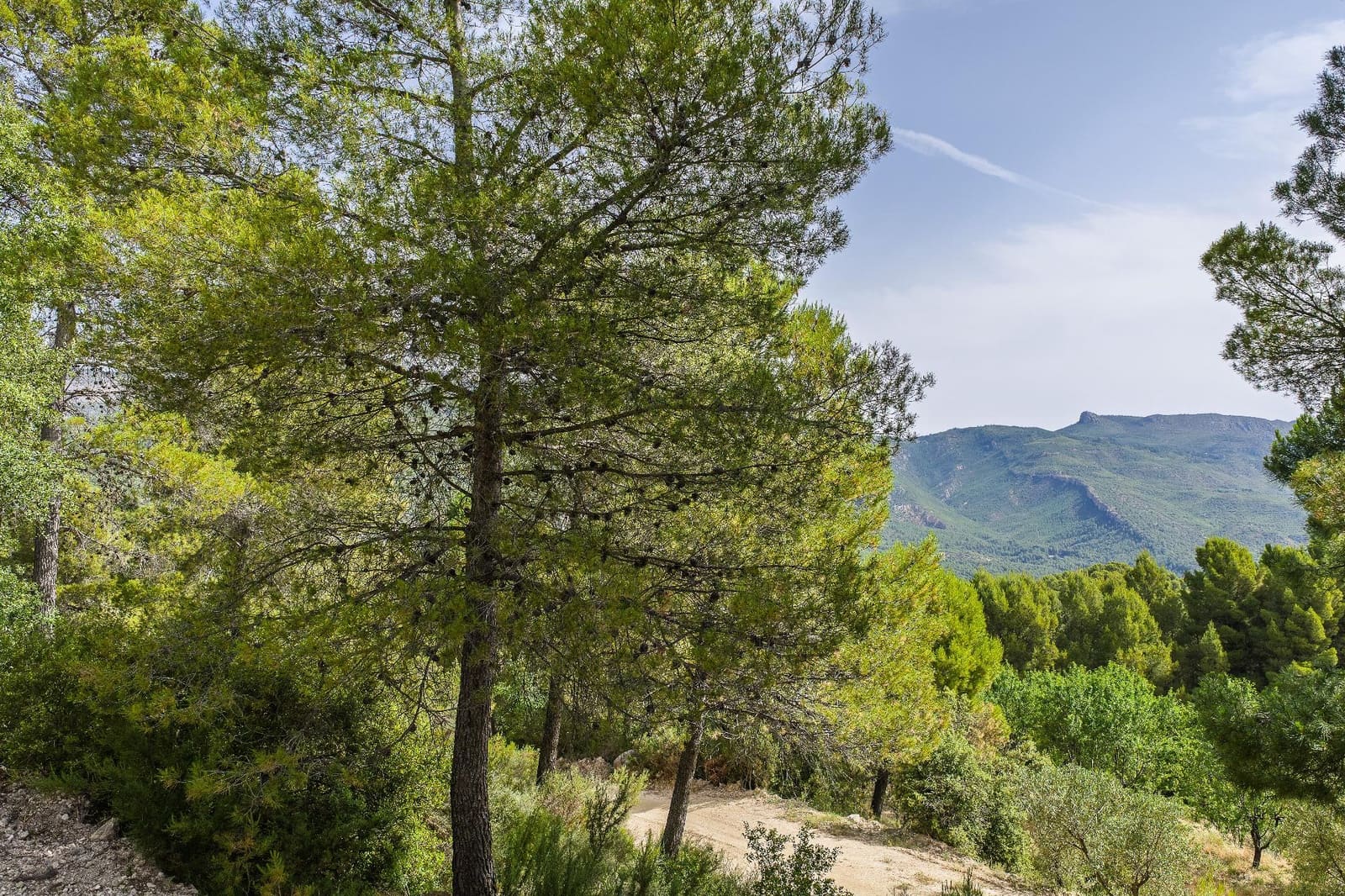 4 bedroom Finca/Country House for sale in Moratalla with pool - € 349,000 (Ref: 9929339)