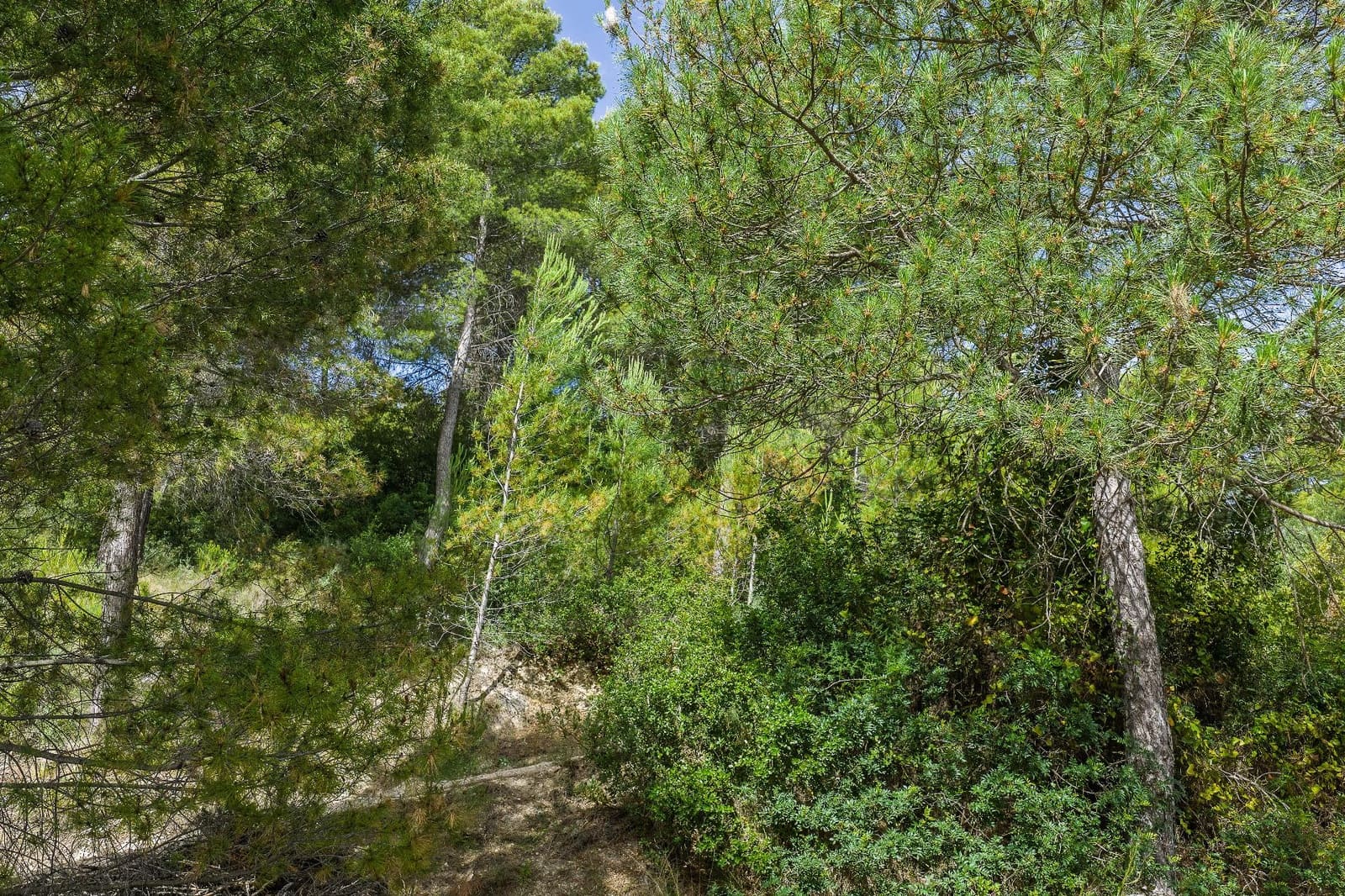4 bedroom Finca/Country House for sale in Moratalla with pool - € 349,000 (Ref: 9929339)