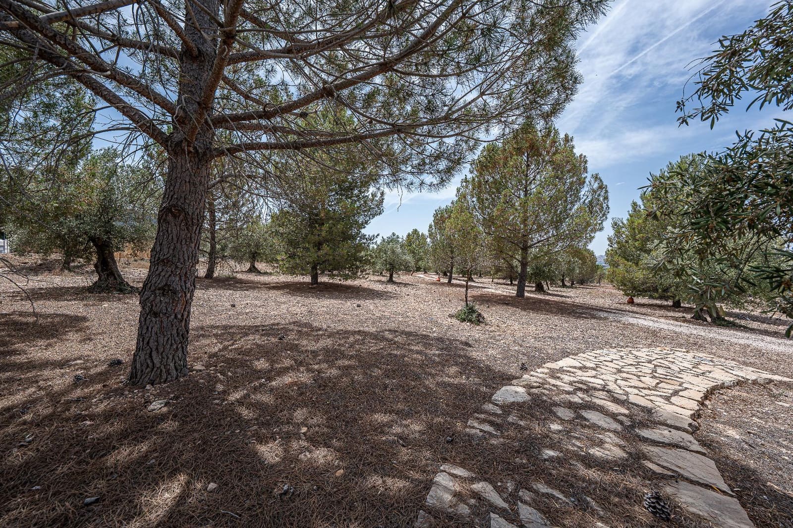 4 soveværelse Finca/Landehus til salg i Biar med garage - € 750.000 (Ref: 9936349)