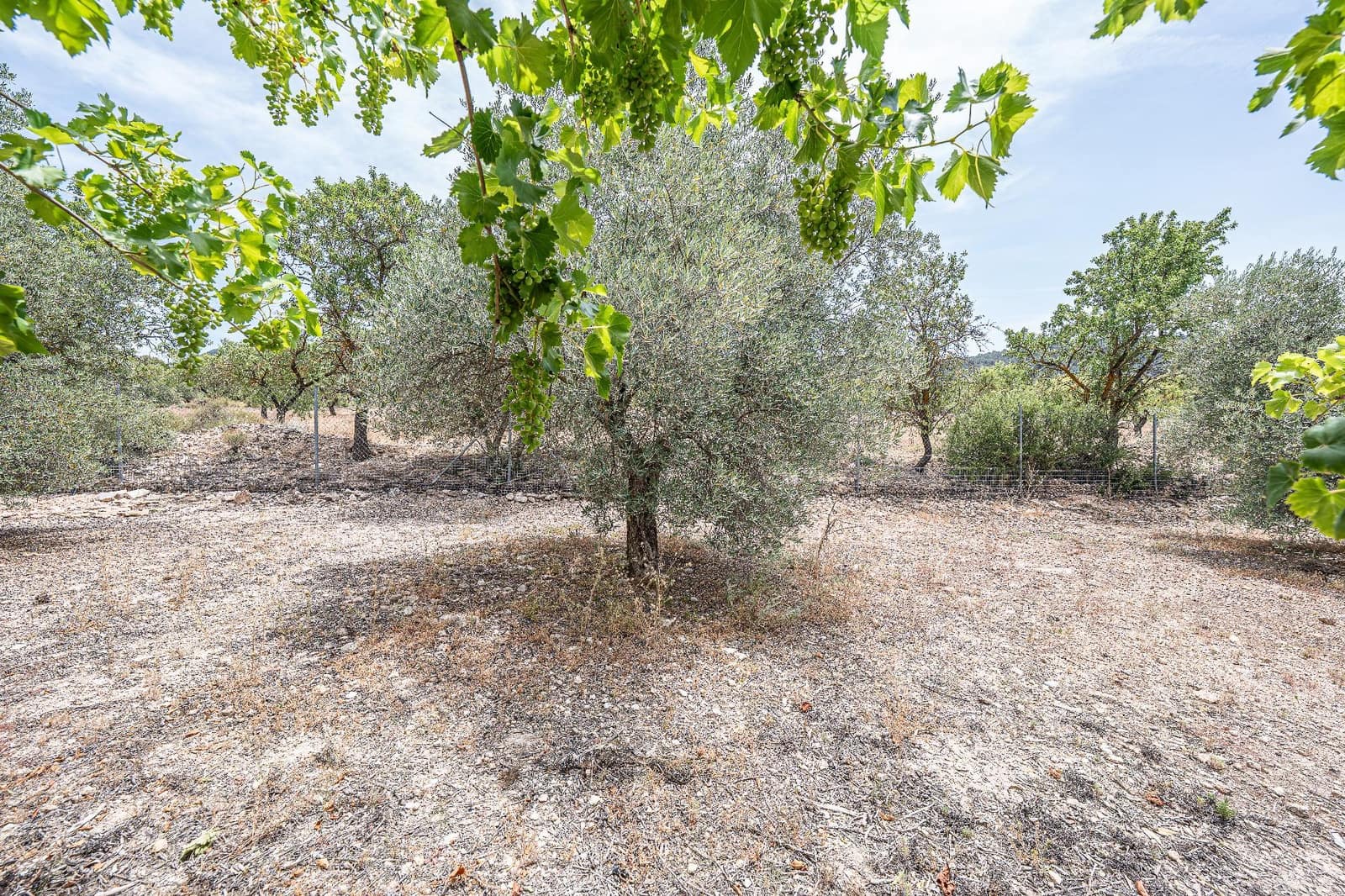 4 soveværelse Finca/Landehus til salg i Biar med garage - € 750.000 (Ref: 9936349)