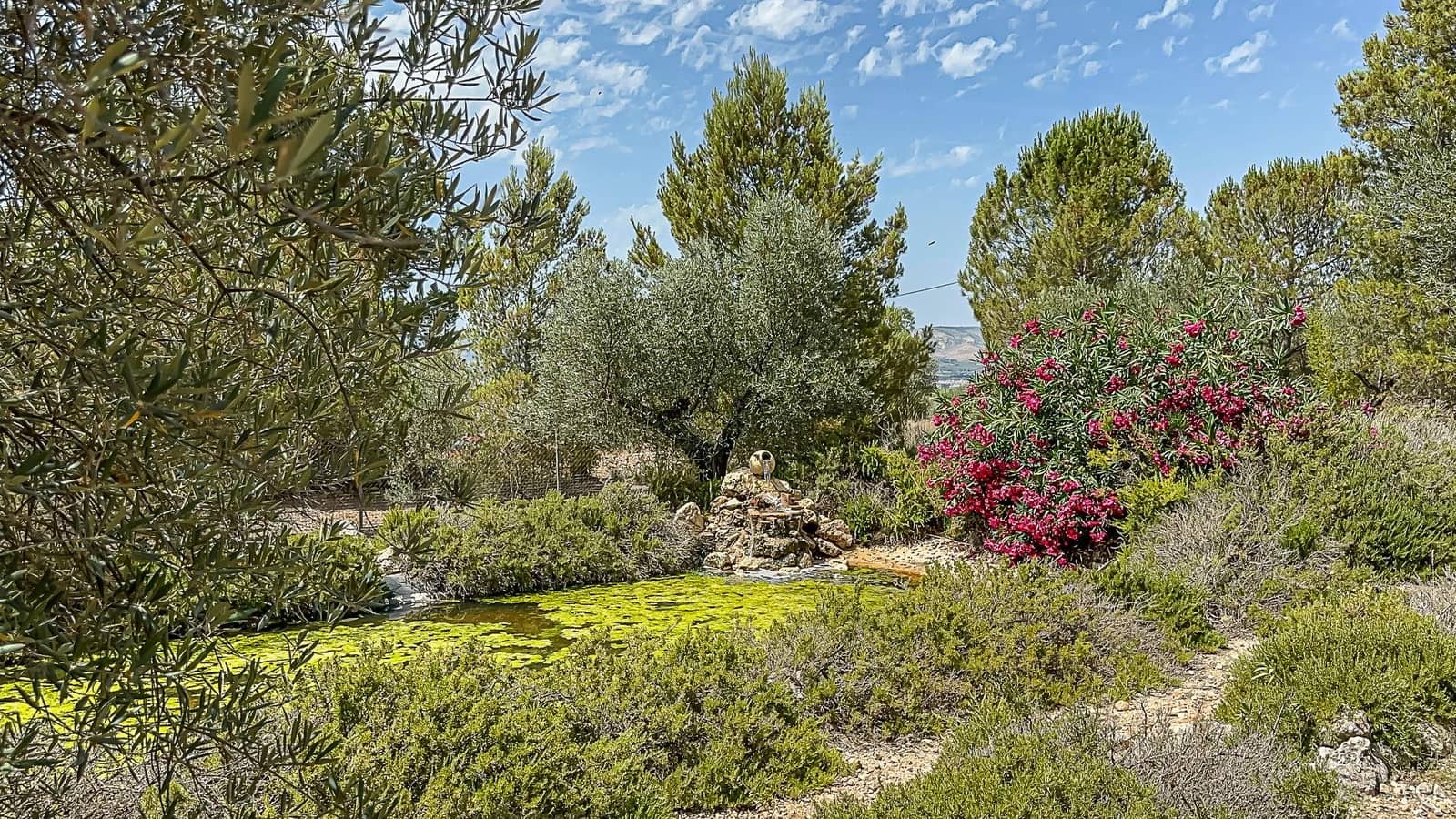 4 soveværelse Finca/Landehus til salg i Biar med garage - € 750.000 (Ref: 9936349)