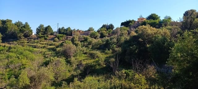 Ubebygd land til salgs i Tárbena - € 35 000 (Ref: 9938140)
