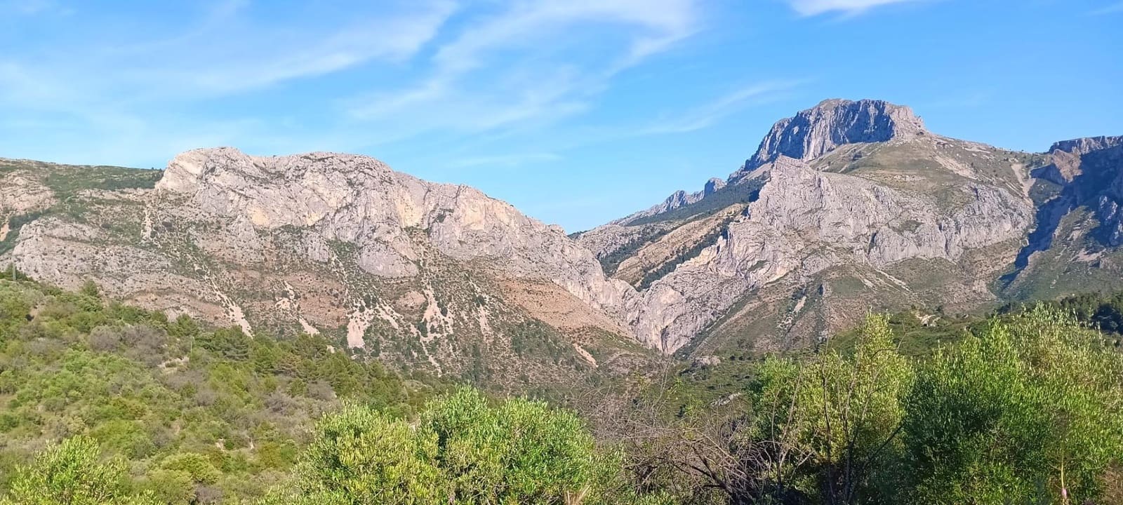 Ubebygd land til salgs i Tarbena - € 35 000 (Ref: 9938140)