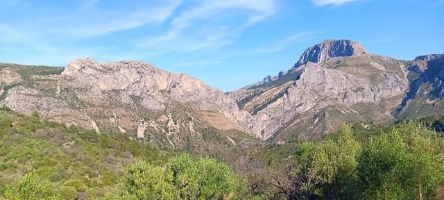 Ubebygd land til salgs i Tárbena - € 35 000 (Ref: 9938140)