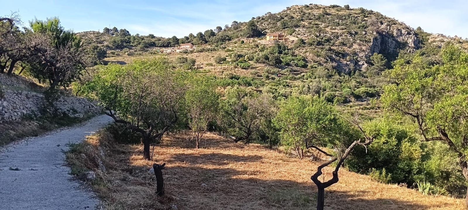 Ubebygd land til salgs i Tarbena - € 35 000 (Ref: 9938140)