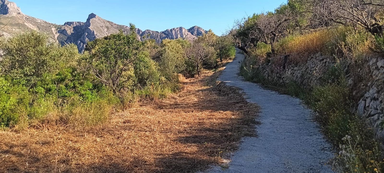 Ubebygd land til salgs i Tarbena - € 35 000 (Ref: 9938140)