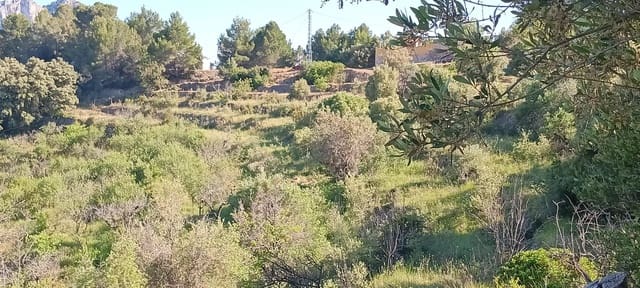 Ubebygd land til salgs i Tárbena - € 35 000 (Ref: 9938140)