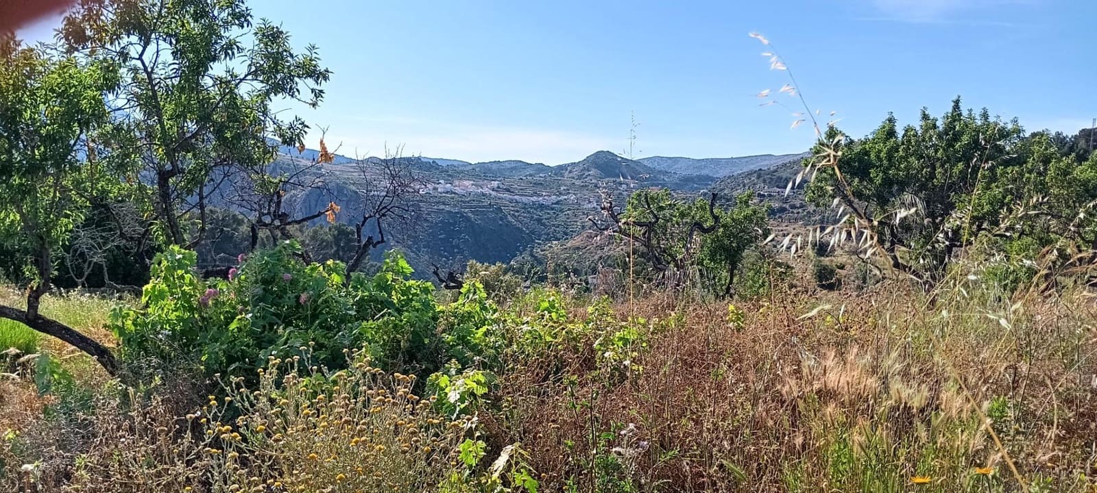 Ubebygd land til salgs i Tarbena - € 35 000 (Ref: 9938140)