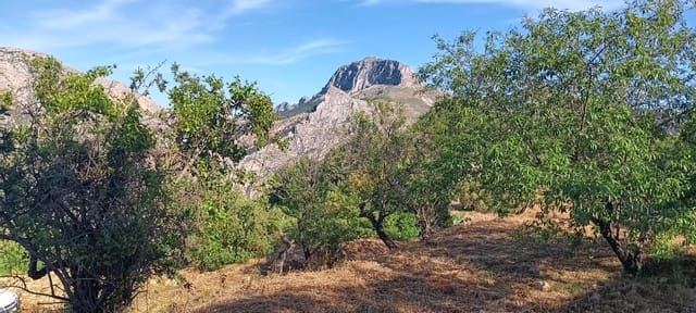 Ubebygd land til salgs i Tárbena - € 35 000 (Ref: 9938140)