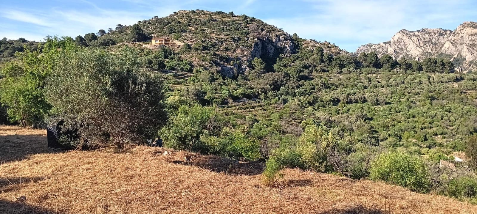 Ubebygd land til salgs i Tarbena - € 35 000 (Ref: 9938140)