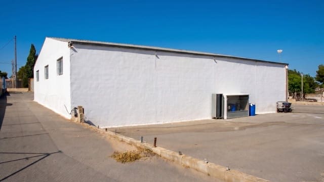 Firma/Unternehmen zu verkaufen in Matola, Elche / Elx mit Garage - 309.900 € (Ref: 9945662)