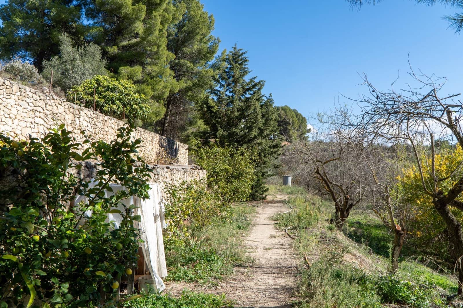 Finca/Casa Rural de 5 habitaciones en Cocentaina en venta con piscina garaje - 695.000 € (Ref: 9945664)