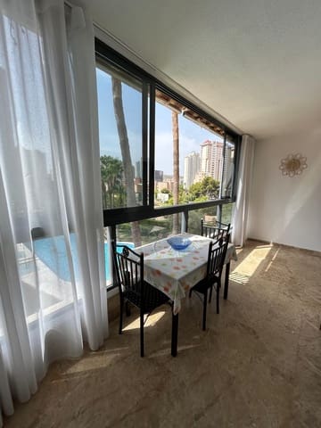 1 soverom Leilighet til leie i Benidorm - € 1 200 (Ref: 9986843)