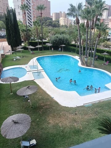 1 soverom Leilighet til leie i Benidorm - € 1 200 (Ref: 9986843)