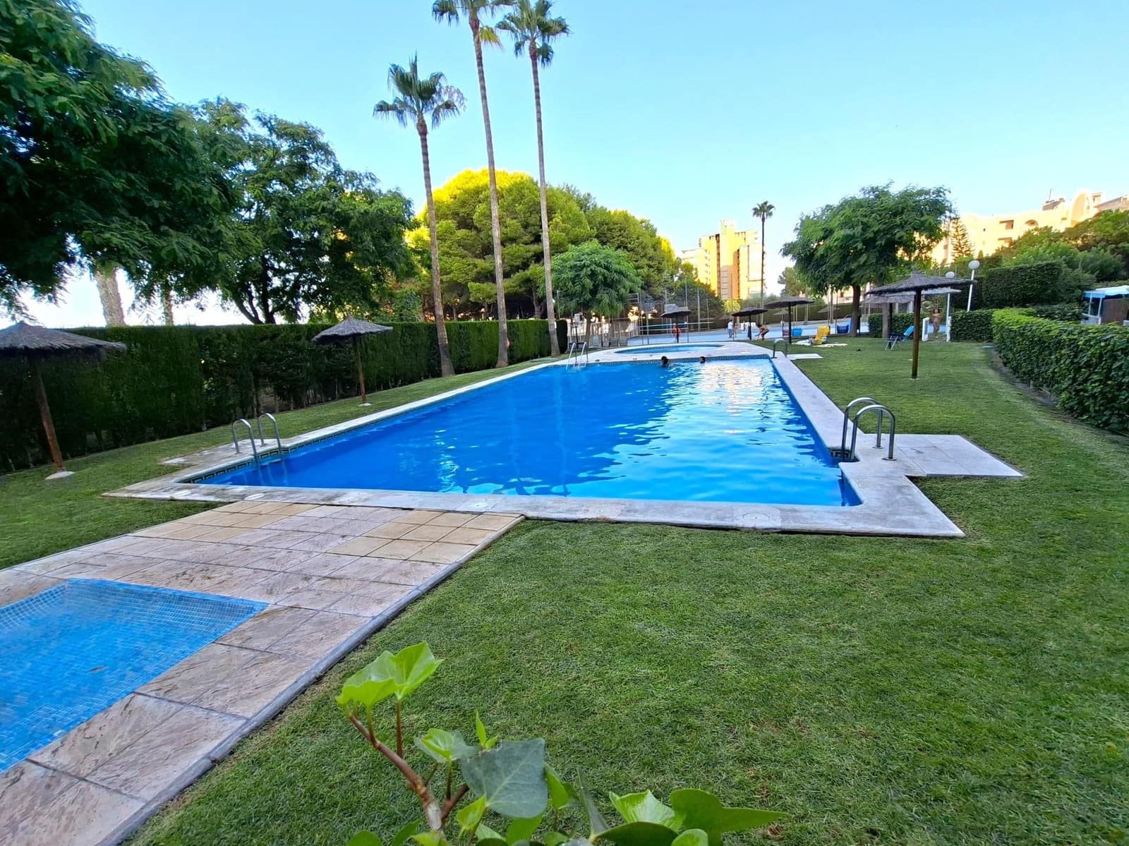 2 bedroom Apartment for rent in Playa de Muchavista with pool - € 1,200 (Ref: 9998792)