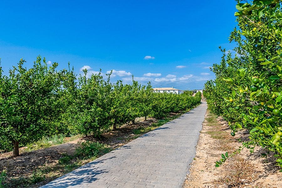 6 soveværelse Villa til salg i Godelleta - € 1.700.000 (Ref: 4949731)