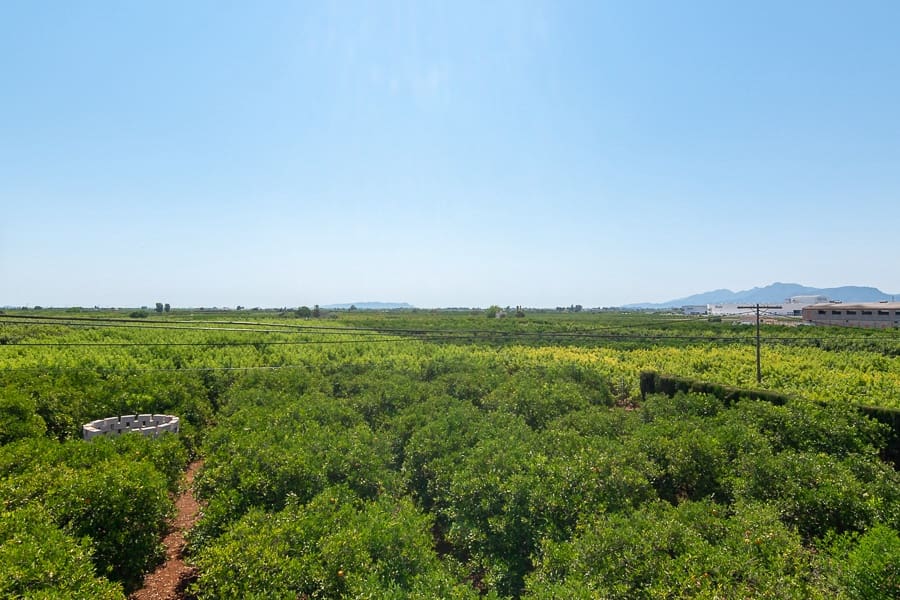 3 soveværelse Finca/Landehus til salg i Algemesi - € 470.000 (Ref: 5199941)