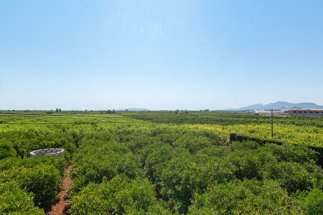3 bedroom Finca/Country House for sale in Algemesí - € 470,000 (Ref: 5199941)