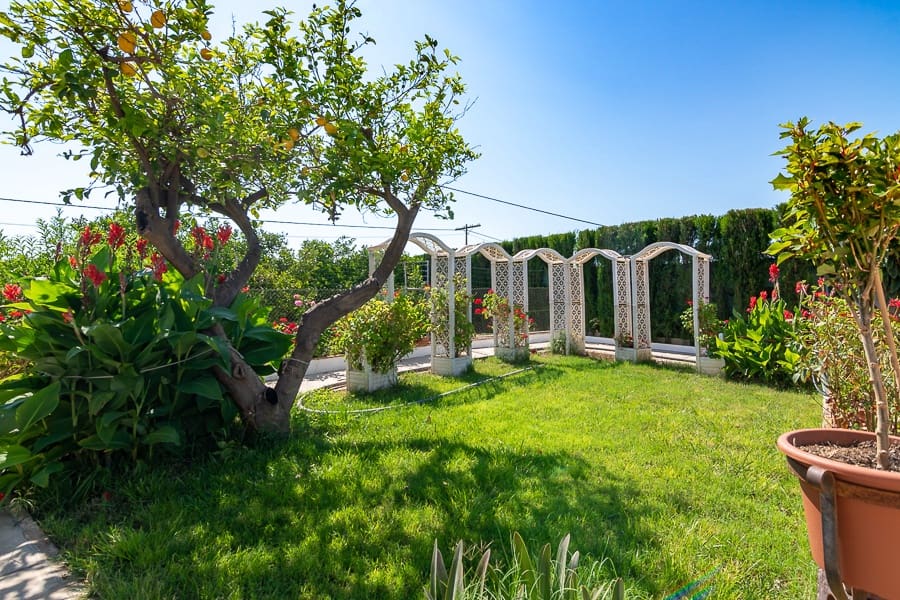 3 soveværelse Finca/Landehus til salg i Algemesi - € 470.000 (Ref: 5199941)