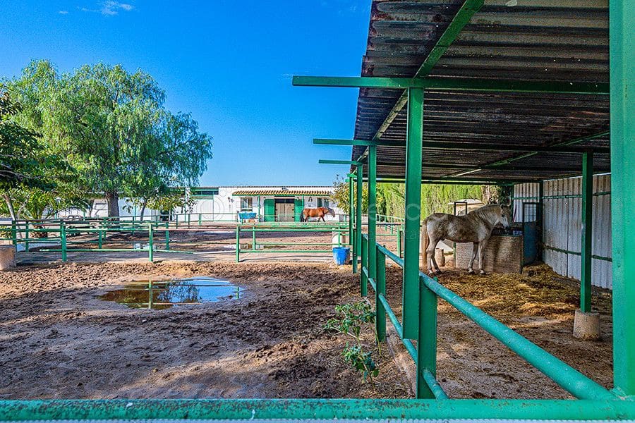 6 bedroom Villa for sale in Sagunto / Sagunt - € 975,000 (Ref: 6379416)