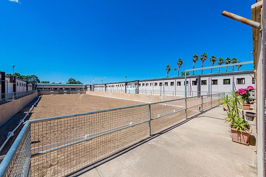 Finca/Landhuis te koop in Chiva - € 1.500.000 (Ref: 6379440)