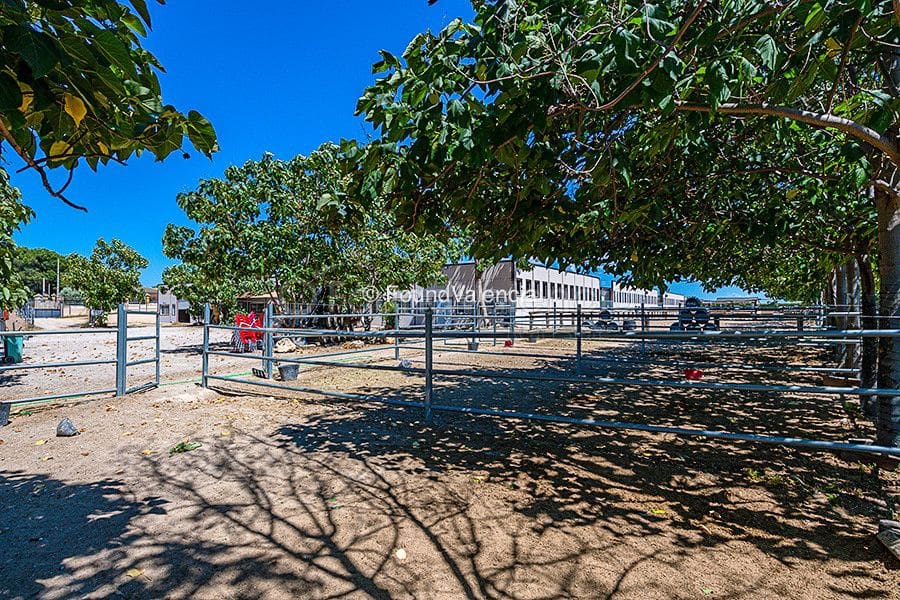 Finca/Landhuis te koop in Chiva - € 1.500.000 (Ref: 6379440)