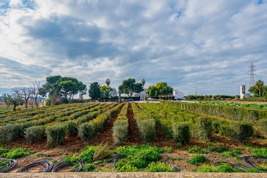 10 bedroom Finca/Country House for sale in Museros - € 1,900,000 (Ref: 7646907)