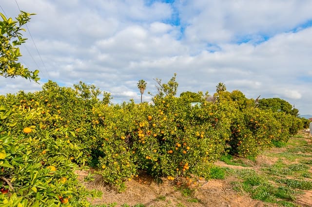 10 bedroom Finca/Country House for sale in Museros - € 1,900,000 (Ref: 7646907)