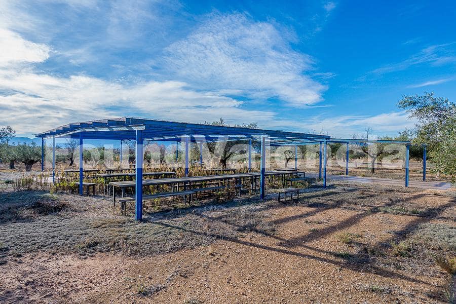 12 chambre Villa/Maison à vendre à Onil - 975 000 € (Ref: 8002791)