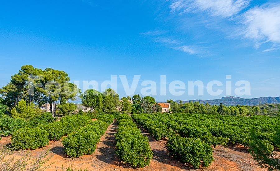 5 bedroom Villa for sale in Carcaixent - € 3,600,000 (Ref: 9910101)
