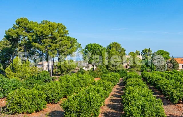 5 chambre Villa/Maison à vendre à Carcaixent - 3 600 000 € (Ref: 9910101)